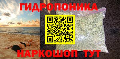 наркотики Сланцы