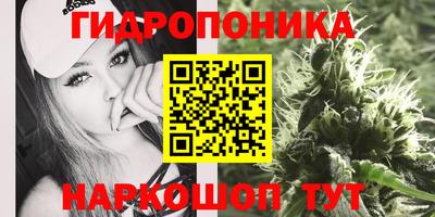 прущие грибы Славгород