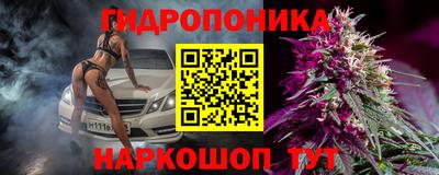 прущие грибы Славгород