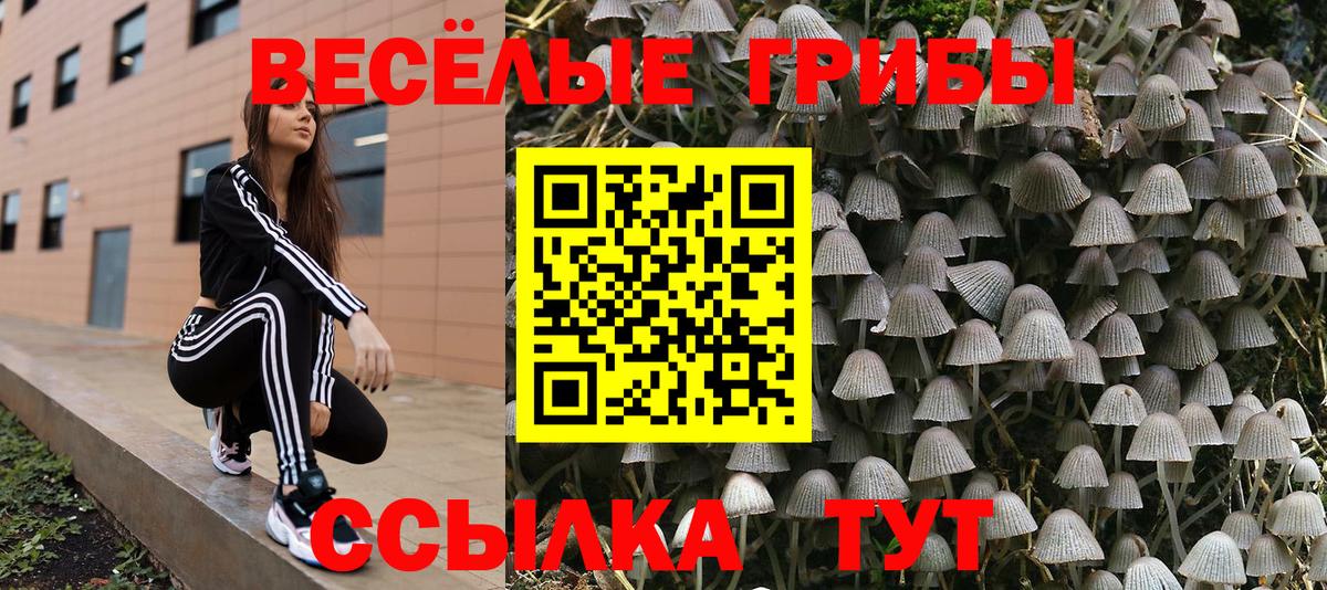 Псилоцибиновые грибы Psilocybine cubensis Ноябрьск