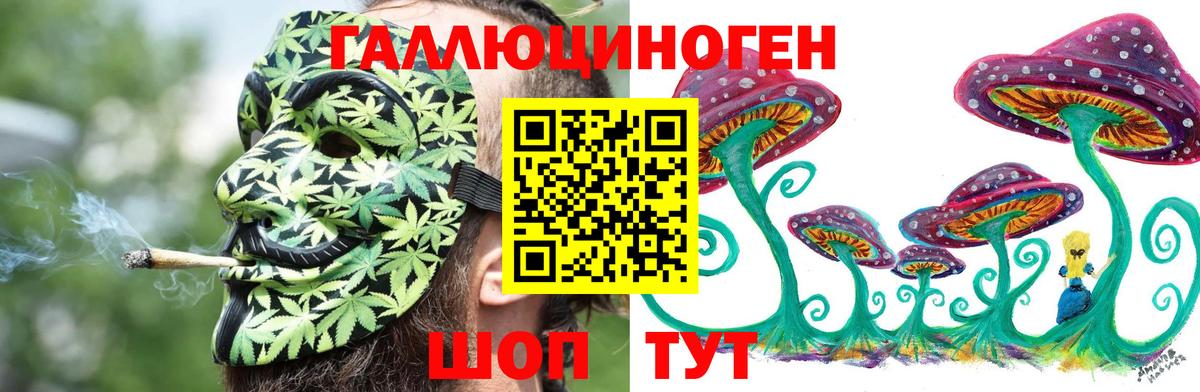 Ноябрьск  Галлюциногенные грибы Psilocybe  Вход с VPN 